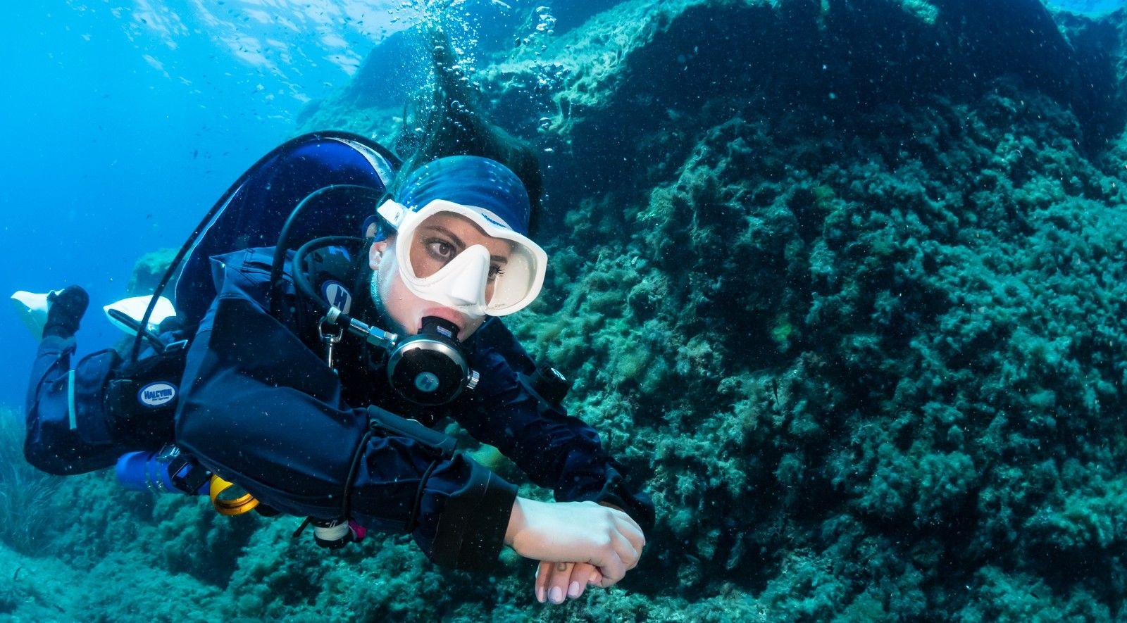 Single Cylinder system halcyon