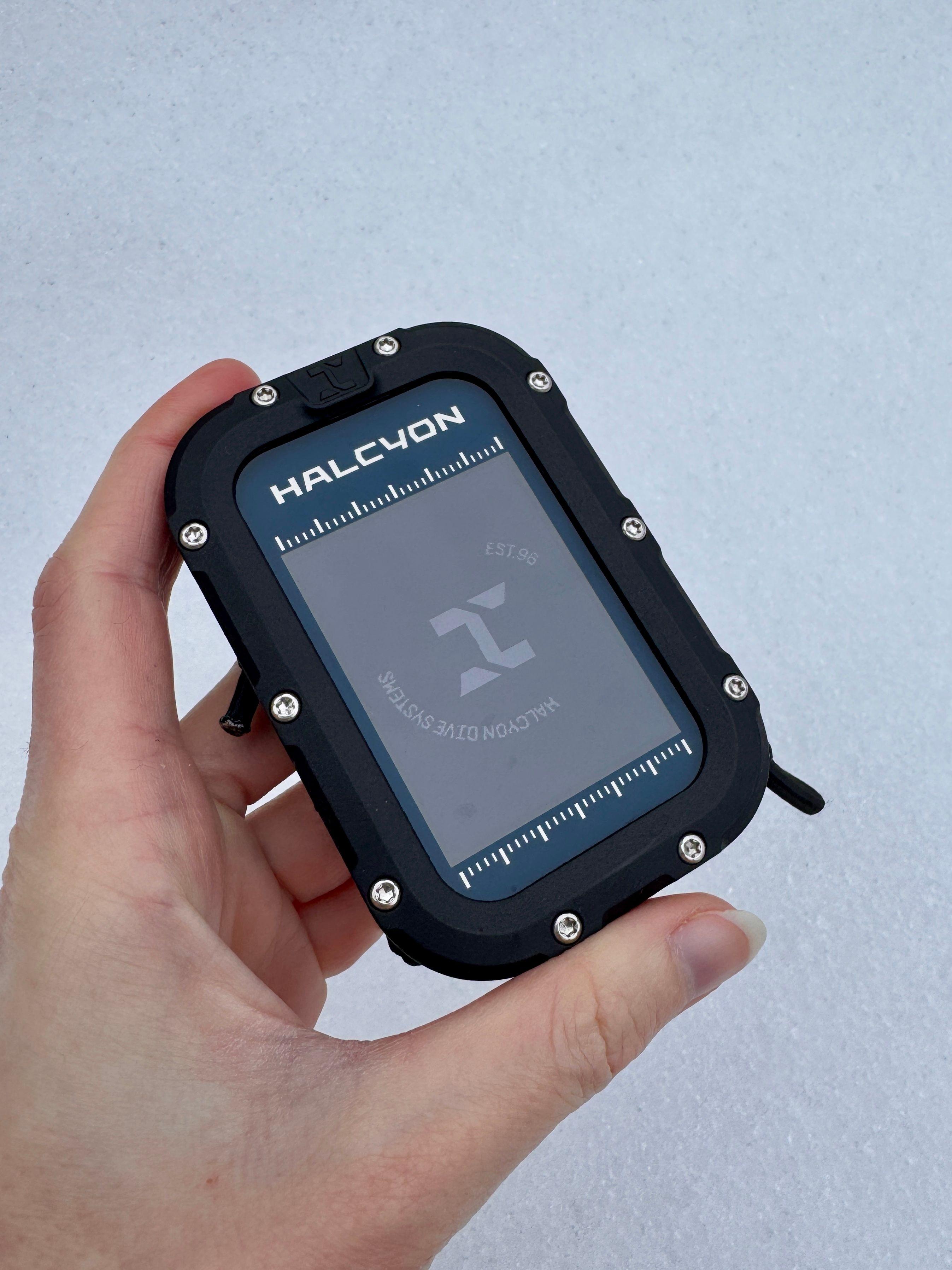 Halcyon Bluie handset computer