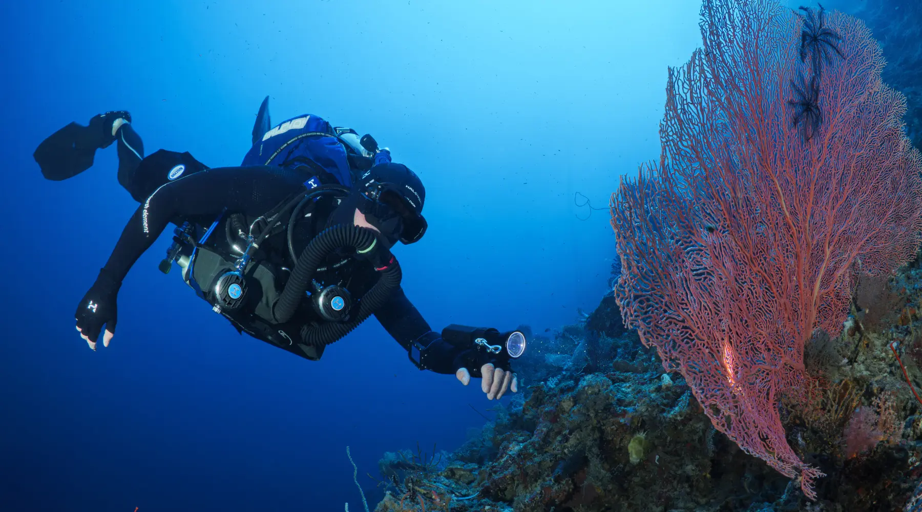 Diver with Symbios rebreather next to a coral