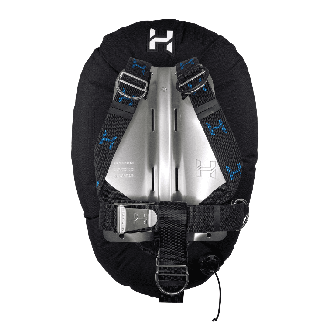 Eclipse wing with stainless steel backplate