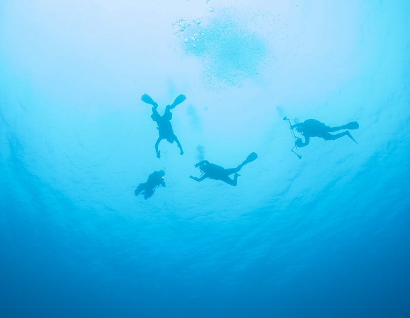 Underwater-306