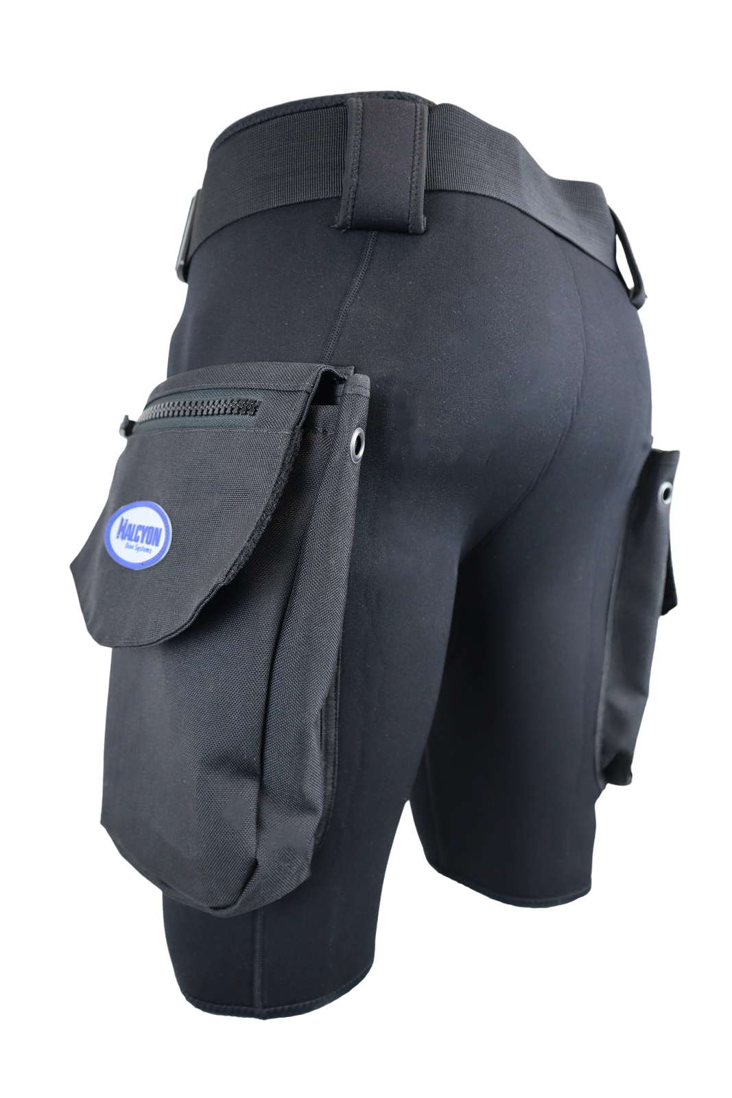 Tech Dive Shorts