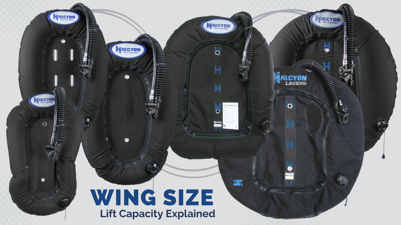 Choosing the Right Wing Size for your Buoyancy Compensator